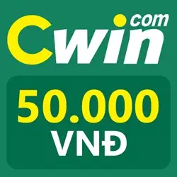 CWin3300 com